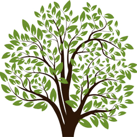 Tree of life imagery representing the funeral and memorial services we offer